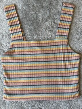 American Eagle Outfitters Striped Ribbed Crop Top Multicolor